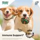 thumbnail image 2 of Suplemento para Perros Forever Puppy Gotas de Equinácea 60 ml, 2 of 8
