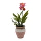 thumbnail image 1 of Planta Artificial Orquidea Rosada Macetero De Ceramica, 1 of 6
