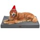 thumbnail image 1 of Cama para perros Tail Stories Outdoor, impermeable, XL, con funda de refrigeración, 1 of 6