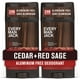thumbnail image 1 of Desodorante Every Man Jack Cedar + Red Sage 90 ml (paquete de 2), 1 of 3