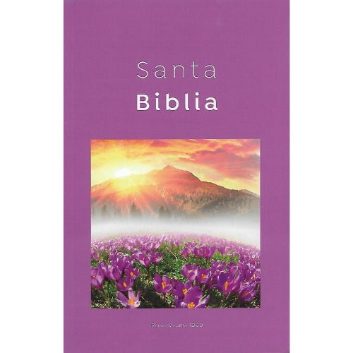 Biblia Reina Valera 1960 Misionera Economica Lila