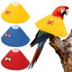 thumbnail image 1 of Collares para Aves Uxcell, Collar Cónico Protector de Recuperación, Conos Ajustables Suaves Anti-Mordeduras para Cuello de Plumas (Amarillo/Azul/Rojo, L, 3 Piezas), 1 of 7