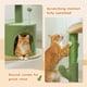thumbnail image 3 of Torre pequeña para gatos Cat Tree PAWZ Road Cactus con rascador, 3 of 3