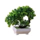 thumbnail image 5 of Plantas Artificiales En Maceta, Adorno Para Exterior, Regalo De Inauguración De La Casa, Piso, Interior, Estilo Loto, 5 of 5