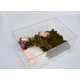 thumbnail image 5 of VIVARIUM Jinymral 30x20x15 cm con Juguete de Escalada y Sustrato, 5 of 6
