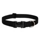 thumbnail image 1 of Collar para perro LupinePet Basics negro, 2,5 cm, 30-51 cm, ajustable, 1 of 4