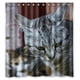 thumbnail image 1 of Cortina de ducha de gato enojado, juego de cortina de baño con ganchos, tamaño 60 x 72 pulgadas, 1 of 3