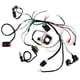 thumbnail image 5 of Arnés de cableado, relé y bobina de estator CDI para vehículos todo terreno de 4 ruedas, 5 of 8