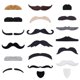 thumbnail image 1 of KICNIC 60 Pcs Fake Mustaches Self Adhesive, 20 Designs for C, 1 of 3