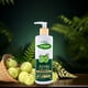 thumbnail image 3 of Prakritik Shampoo Amla y Polvo Ayurvédica 250 ml, 3 of 3