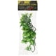 thumbnail image 2 of Filo Mexicano Natural Y Tupido De Plant Laboratories, 2 of 2