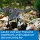 thumbnail image 5 of Acondicionador de agua API TURTLE WATER CONDITIONER botella de 240 ml, 5 of 6