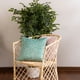 thumbnail image 2 of Planta Artificial Murraya 85 Cm, 2 of 2