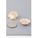 thumbnail image 4 of Aretes Fashnzfab Majestic Concha Oro y Plata, 4 of 4