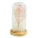thumbnail image 1 of Lámpara De Cúpula De Cristal De Flores Secas Led Lámpara De Mesa Cadena De Luz Rosa, 1 of 3