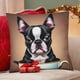 thumbnail image 4 of Boston Terrier Fundas de almohada de terciopelo con tema, regalos de funda de almohada, decoración para el hogar, cojín de lanzar, regalo de cumpleaños para fans y parejas. 45cm x 45cm., 4 of 6