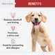 thumbnail image 3 of Aceite de salmón Supplement Chew + Heal para piel y pelo de perros, 180 unidades masticables, 3 of 8