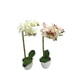 thumbnail image 3 of Planta Artificial Orquidea, 3 of 5