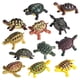thumbnail image 3 of 12x Figuras De Acción Realistas De Tortugas Marinas, Colección De Juegos De Cumplea?os, 3 of 5