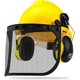 thumbnail image 1 of Casco Forestal NEIKO 53880A con Visera Protectora y Orejeras, 1 of 9