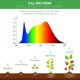 thumbnail image 3 of Ampolleta LED Briignite BR30 Cultivo 12W, 3 of 3