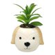 thumbnail image 1 of Planta Artificial con Macetero de Perro, 1 of 3