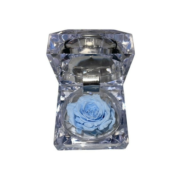 Joyero Mini Con Rosa Preservada Natural Celeste