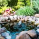 thumbnail image 5 of Limpieza de Estanques Healthy Ponds Blast 15 Sobres, 5 of 5