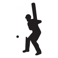 Rienda Libre Graphics - Decomural Cricket Batsmen Sports Pack Ws-33153