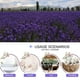 thumbnail image 2 of Flores secas de lavanda CoolCrafts, 1 kg, para bolsitas de boda, 2 of 3