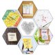 thumbnail image 3 of Thumb Tacks WenTao Clear, 150 unidades, cabeza de plástico con punta de acero, 3 of 7
