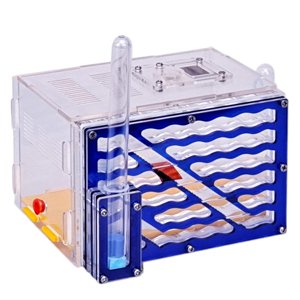 Ioensy - Nido De Hormigas, Divertidos Juguetes, Granja De Hormigas Diy Para Decoración, Día De Los Niños, Amantes