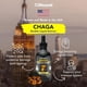 thumbnail image 2 of Extracto De Hongos Chaga Supplement 120 Ml Con Ciruela Kakadu, 2 of 3