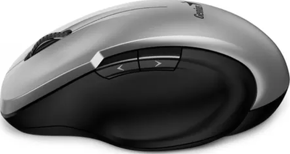 Genérico - Mouse Genius Ergo 8200S Iron Grey Gris