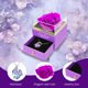 thumbnail image 3 of Flores preservadas YAMPP Rose Forever Love de 5 años con collar, 3 of 6