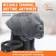thumbnail image 2 of Collar para Perro SportDOG SBC-R Impermeable y Programable, 2 of 8