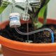thumbnail image 5 of Sistema de riego automático Bubblegum Stuff Plant Life Support, 5 of 7
