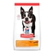 thumbnail image 1 of Science Diet Adult Light Small Bites 2.26 Kg, 1 of 2