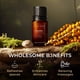 thumbnail image 5 of Aceite Esencial Gya Labs Copaiba 10 ml para Aromaterapia, 5 of 6