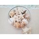thumbnail image 4 of Vaso Seashells Home, tamaño mediano, mezcla de colores blancos, tostados y rosas, 4 of 7