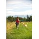 thumbnail image 3 of Juguete para perros Chuckit! The Whistler Ball, tamaño mediano, para perros de 9 a 27 kg, 3 of 9