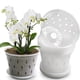thumbnail image 1 of Xiao Hua Maceta para Orquídeas, Perforada, Maceta Transparente para Plantar Orquídeas Mariposa con base, Adecuada para Plantar en Interiores y Exteriores, 2 Juegos (Excluyendo Plantas), 1 of 4