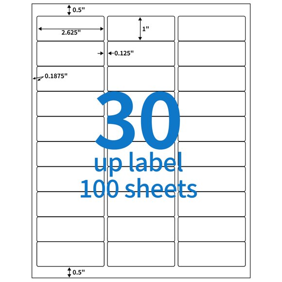 Etiquetas BESTEASY 2,5 cm × 6,4 cm 3000 uds FBA
