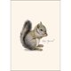 thumbnail image 2 of Juego de tarjetas de notas Earth Sky + Water de 8 unidades – Ardilla gris, 2 of 3
