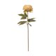 thumbnail image 1 of Planta Artificial Peonia Pastel Amarilla 55 Cm, 1 of 1