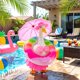 thumbnail image 4 of Conjunto de bikini rosa Mastom para ganso de porche de 23", 4 of 6
