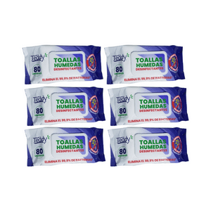 Pack 6 Toallitas Desinfectantes Teddy 480 Unidades