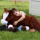thumbnail image 2 of Peluche Caballo Gigante Tezituor 47 Inch 120 cm Chocolate, 2 of 3