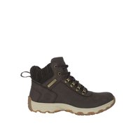 Botin Gevora Cafe Alquimia