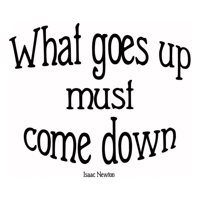 Rienda Libre Graphics - Decomural What Goes Up Isaac Newton Ws-44095